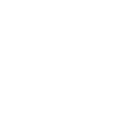 ship wheel icon